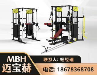 驻马店多功能综合训练器