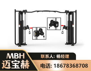 驻马店大飞鸟训练器