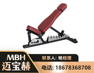 驻马店可调哑铃椅