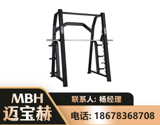 驻马店史密斯机